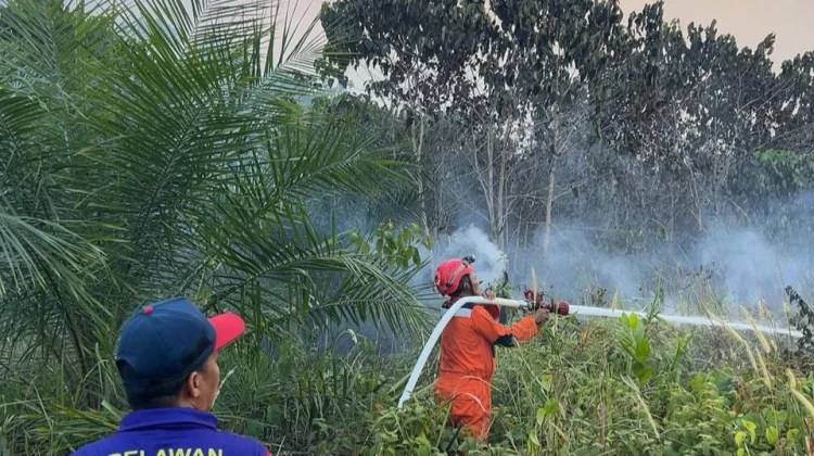 Karhutla di Tabalar Berau Bakar Dua Hektare Kebun Warga