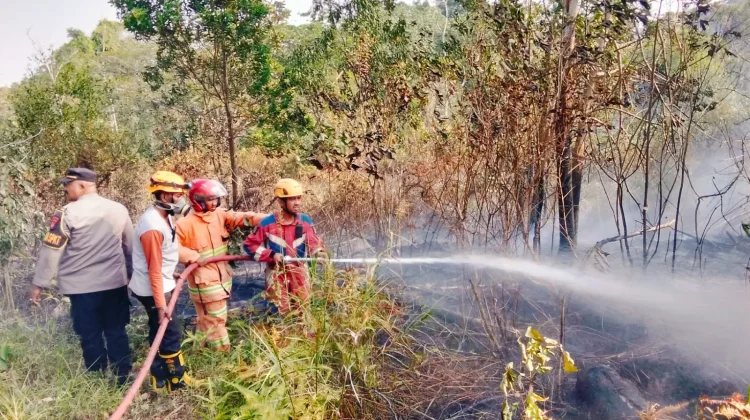 Kebakaran Lahan di Graha Indah di Balikpapan Utara