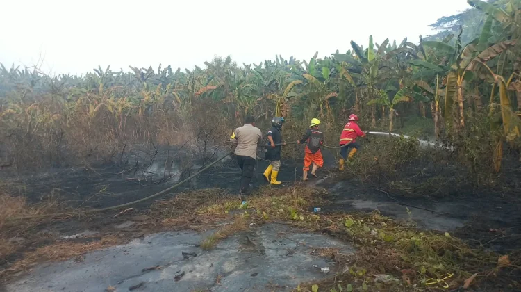 Kebakaran Lahan di Bukuan, Api Berhasil Dipadamkan