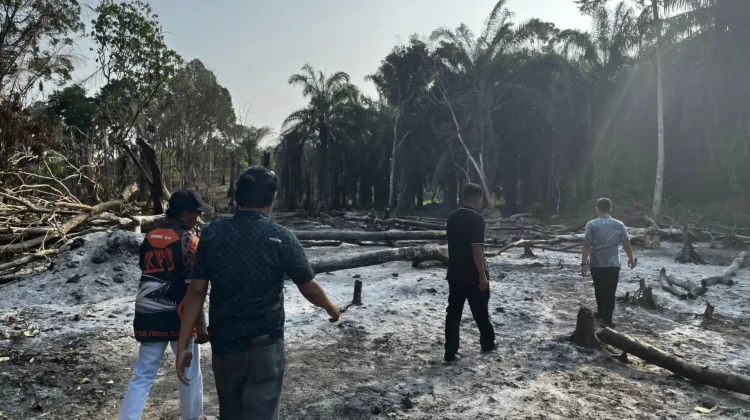 Buka Lahan dengan Dibakar Dua Warga Diamankan Polisi di Sotek PPU