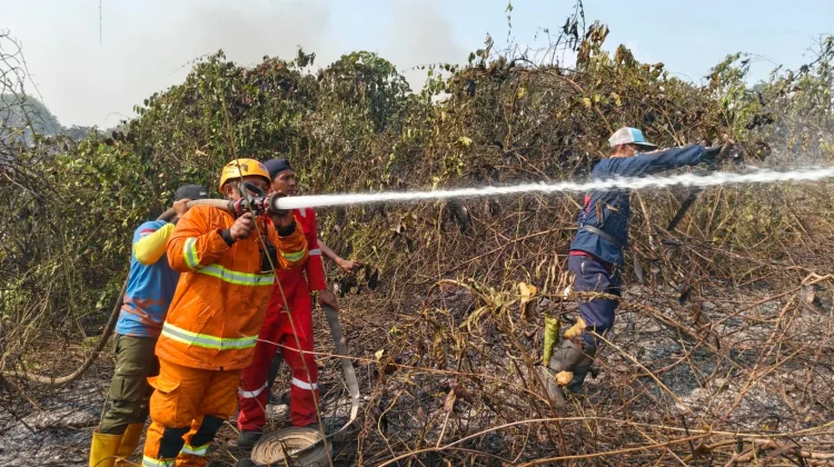 Karhutla Hanguskan Lima Hektare Lahan di Desa Beloro