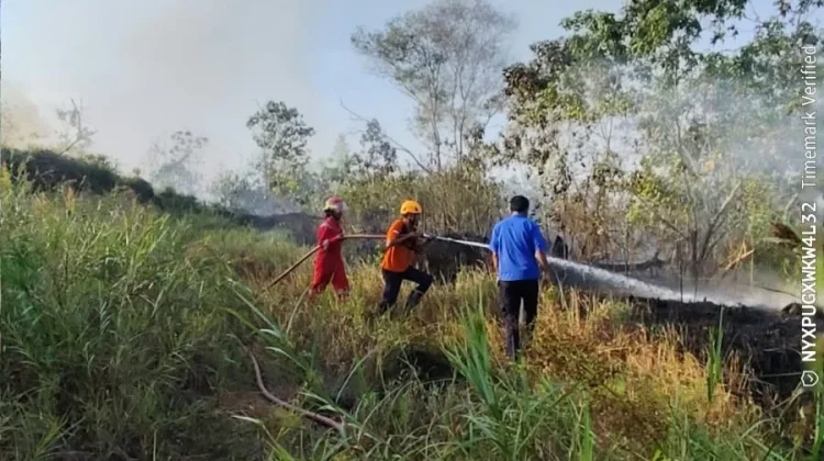 Kebakaran Lahan Dua Hektare Terjadi di Balikpapan Timur