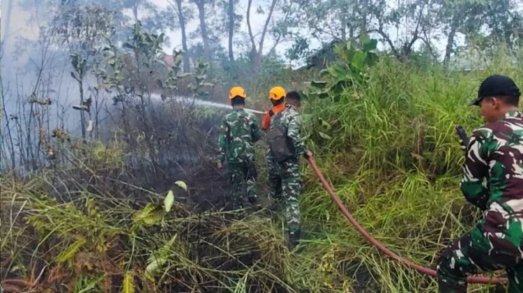 Api Lahap Dua Hektare Lahan di Balikpapan Selatan