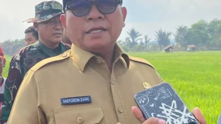 Kekeringan Ancam 48 Hektare Sawah di Samarinda Utara