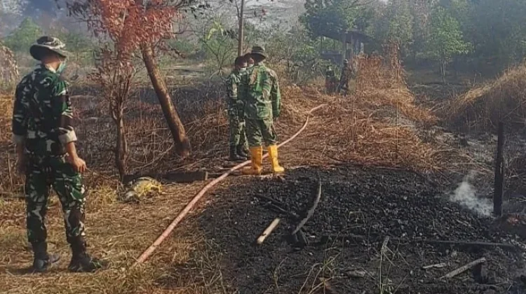 Lahan Batu Bara Terbakar, Karhutla Hanguskan 0,5 Hektare di Sangatta