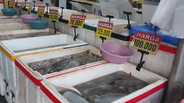 Cuaca Panas dan Pasokan Menipis Harga Ikan di Sepaku Mulai Naik