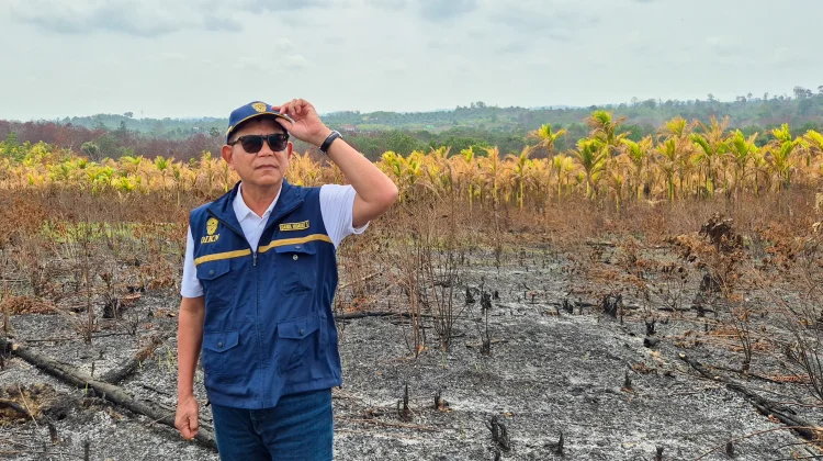 Karhutla Bukit Tengkorak Padam Otorita IKN Perkuat Patroli