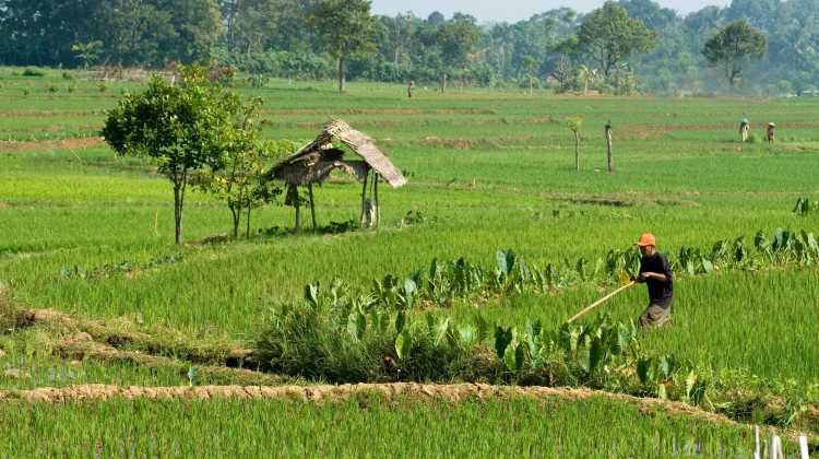 PHKT Buka Peluang Replikasi Program Gerbang Insan Mapan di Kaltim