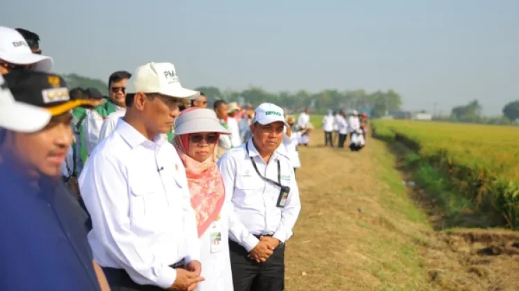 Mentan Amran Pastikan Produksi Beras Nasional Aman meski Diproyeksi Turun Tipis