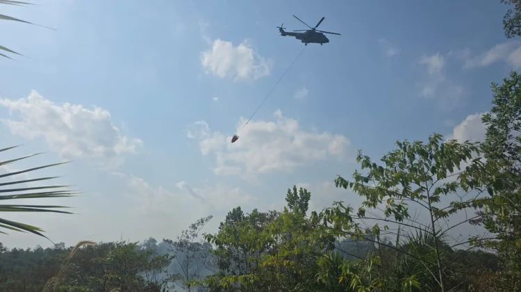 Presiden Prabowo Kucurkan Rp45 Miliar Perkuat Penanganan Karhutla di Kaltim
