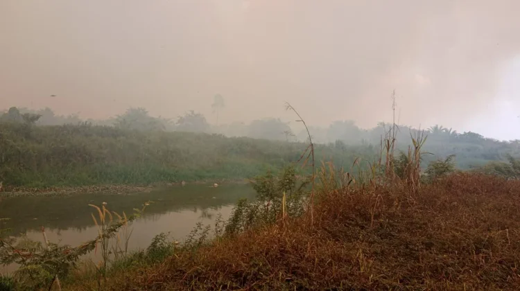 BPBD Samarinda Distribusikan 880 Ribu Liter Air Bersih ke Daerah Terdampak