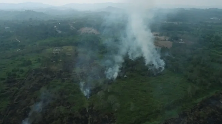 Pantauan Drone Deteksi Titik Potensi Karhutla di Sekitar Bandara APT Pranoto
