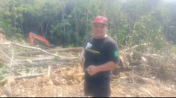 Alat Berat Ditemukan di Kawasan Hutan Kaliorang, Satgas Karhutla Turun Tangan