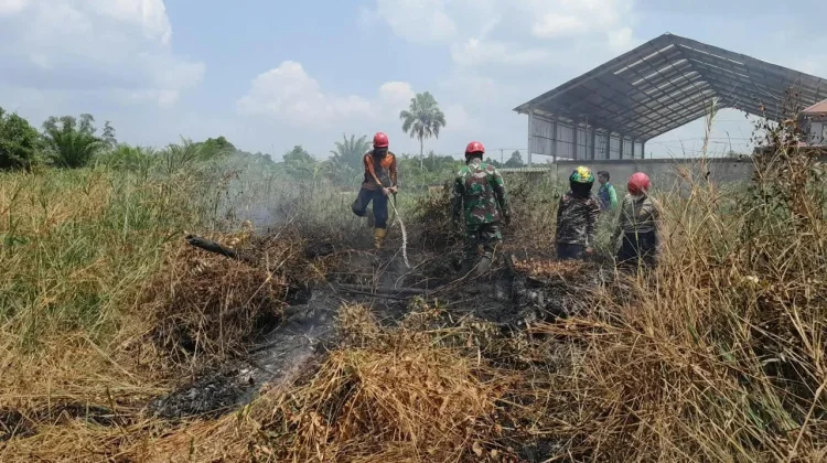 Karhutla di Paser Tembus 1.000 Hektar dari Total 398 Titik Lokasi