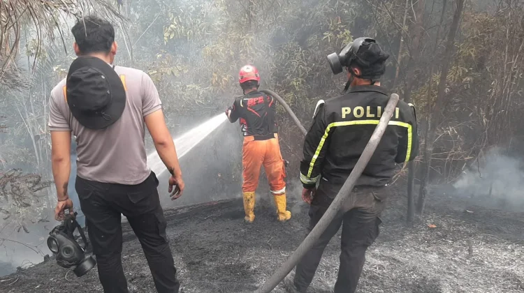 Karhutla Berau Capai 18 Hektare, Sejumlah Titik Belum Padam