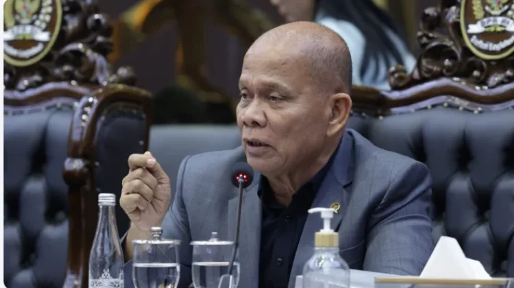 RUU Satu Data Indonesia Mulai Dibahas DPR dan Pemerintah