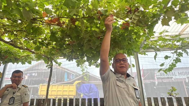 Bapas Balikpapan Sulap Lahan Sempit Jadi Green House dan Bekali Klien