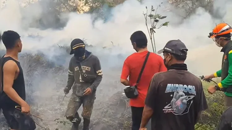 BPBD: September Jadi Fase Kritis Karhutla di Kaltim