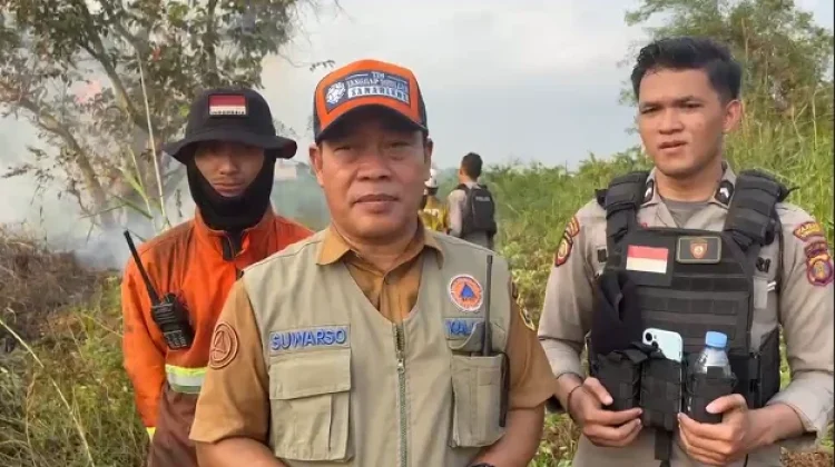 Karhutla Samarinda Capai 225 Kasus, Palaran Terbanyak Terdampak