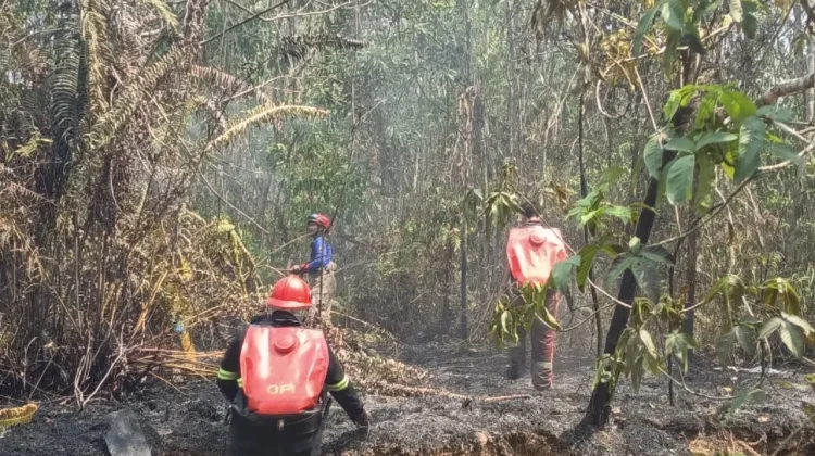 Polres Paser Dalami Kasus Karhutla, Diduga Ada Oknum Lain