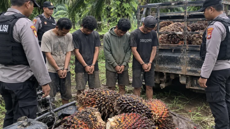 115 Janjang Sawit Diduga Dicuri, Lima Pria Diamankan Polisi di Rantau Pulung