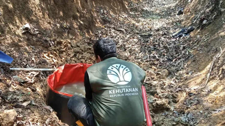 Kubangan Air Satwa di Kaltim Disembunyikan, BKSDA Pasang Camera Trap