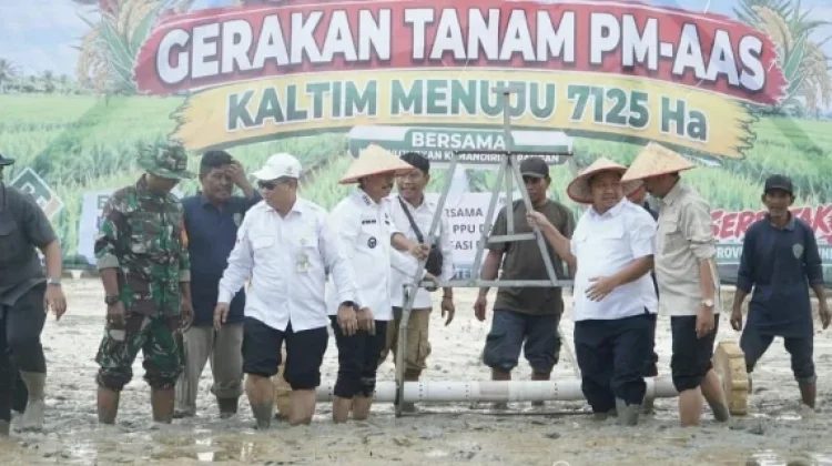 Bupati PPU Tekankan Kesiapan Lahan untuk Tingkatkan Produksi Padi