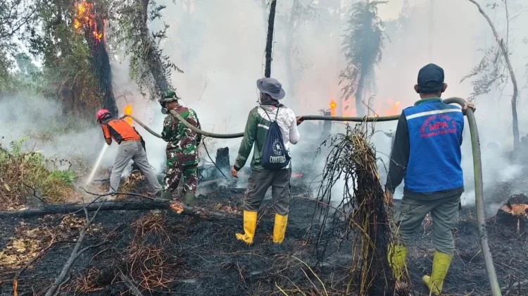 Karhutla Melanda Paser, Enam Titik Berhasil Ditangani