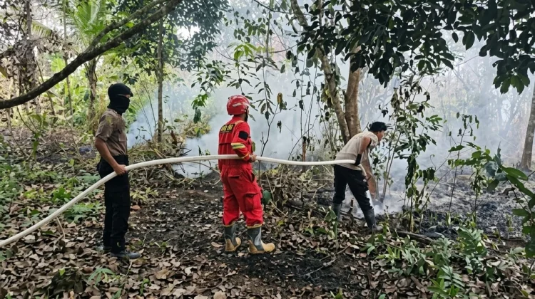 Sebelas Kejadian Karhutla Tercatat di Berau, 3,4 Hektare Masih Belum Padam