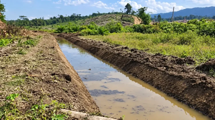 Hujan Sporadis Belum Akhiri Kekeringan di Kalimantan Timur