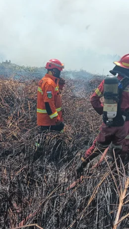 Optimalisasi Penanganan Karhutla Kalimantan dan Sumatra