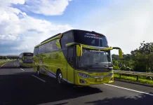 MTI Soroti Lemahnya Tata Kelola Bus Wisata jelang Mudik