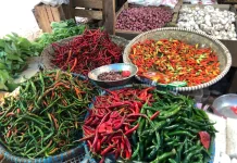 Harga Cabai Tiung di Senaken Melonjak jelang Puasa