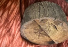 Transformasi Ekonomi Kukar Digenjot, UMKM dan Ekonomi Kreatif Jadi Andalan