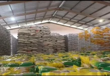 Bulog Kaltimtara Siapkan 21 Ribu Ton Beras, Pastikan Stok Aman hingga Idulfitri