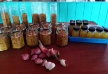 Standarisasi Mutu Dorong Produk Perikanan Kaltim Tembus Pasar Modern