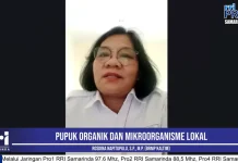 Pupuk Organik dan MOL, Solusi Atasi Tanah Keras Petani Kaltim