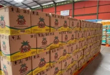 Jaga Stok Ramadan, Bulog Kaltimtara Pasok 371 Ribu Liter Minyakita