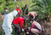 Tak Pulang 3 Bulan, Pria Paruh Baya Ditemukan Meninggal di Kebun Desa Long Gelang