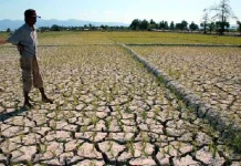 Kemarau Kaltim 2026 Diprediksi Tetap Normal