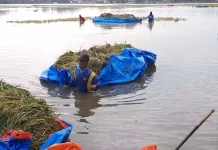 Petani Kaltim Didorong Manfaatkan Bantuan Saat Gagal Panen