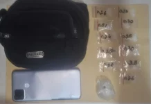 Bawa 11 Poket Sabu di Pinggir Jalan Delima, Residivis Ini Terciduk Polisi