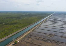 Kaltim Kejar Realisasi 1.320 Hektare Program Cetak Sawah Hingga Maret 2026