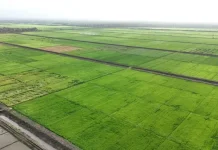 Kaltim Target Cetak Sawah 12–14 Ribu Hektare 2026