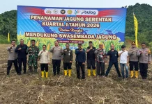 Kaltim Perkuat Target Swasembada Jagung 2026 Melalui Kolaborasi