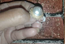 Tips Mencuci Emas Biar Kuning Lagi yang Praktis Dicoba