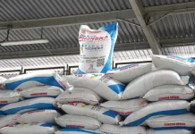 Targetkan Efisiensi, Pemerintah Sempurnakan Tata Kelola Pupuk Subsidi