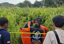 Potongan Jenazah Ditemukan di Gunung Pelandu Samarinda, Warga Sempat Geger