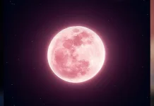 Keindahan Pink Moon 1 April 2026  Bakal Menghiasi Langit Malam