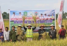 Bupati Kukar Panen Raya di Mulawarman